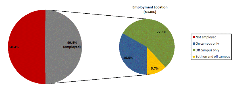 Graph of employment during academic year